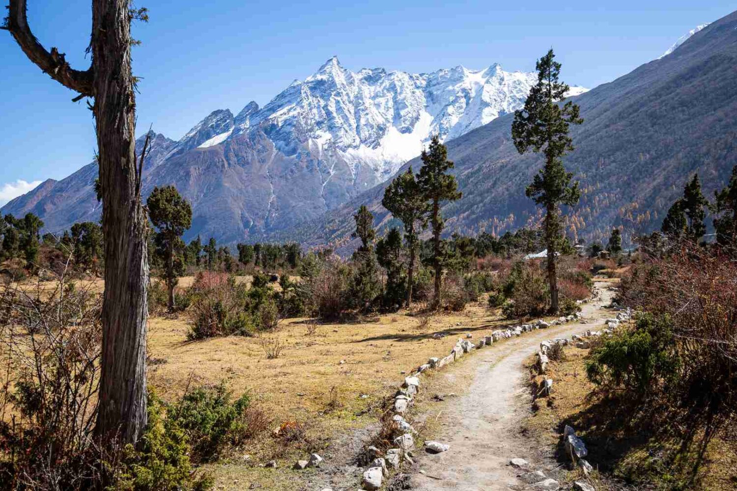 Trekking in Nepal , Trekking in August Manaslu route