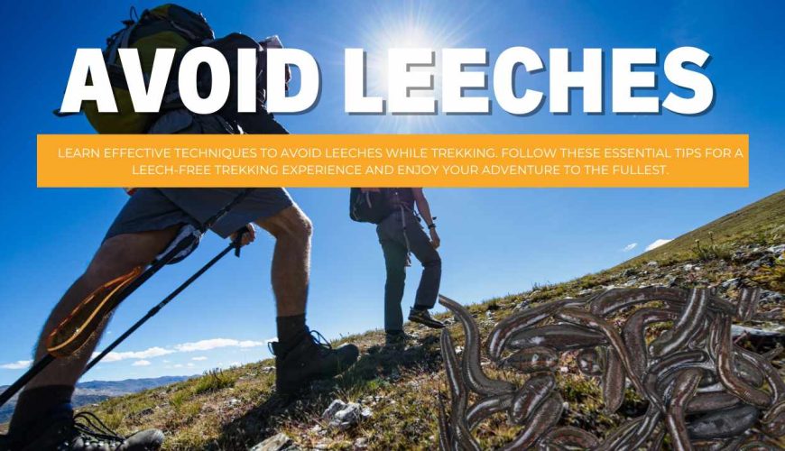 Avoid Leeches